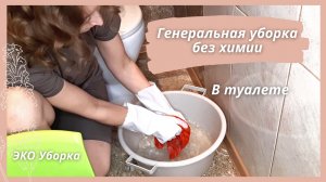 Экологичная уборка в туалете / Натуральные средства для уборки / ЭКО уборка / Мотивация на уборку