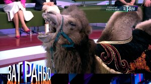 «За гранью»: «Горбатые разлучники» | Выпуск от 4 марта 2024 года