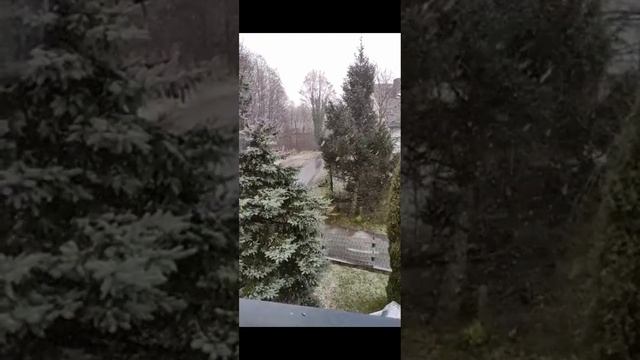 Польская жизнь казаха смотреть онлайн