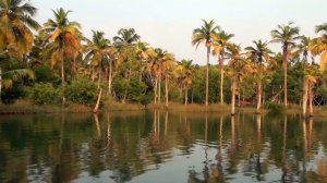 Индия. Керала. Фантастическая красоота Backwaters