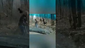 tianye admiral подъем на гору Шизе. Первый тест драйв китайца.