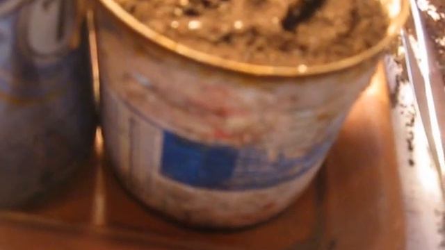 Садим косточки лимона и апельсина