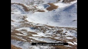 Дикий ЯК в Дагестанских горах