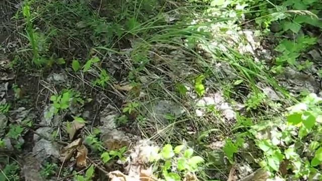 Бутурлиновка смотреть онлайн