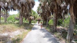 Fort De Soto Beach Florida / Egmont Key