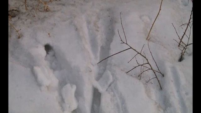 Найденные рядом с рынком Саяногорска ртутные лампы убрали смотреть онлайн