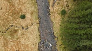 Ручьи и реки