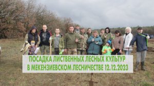 Посадка леса а Мекензиевском лесничестве 12.12.2023