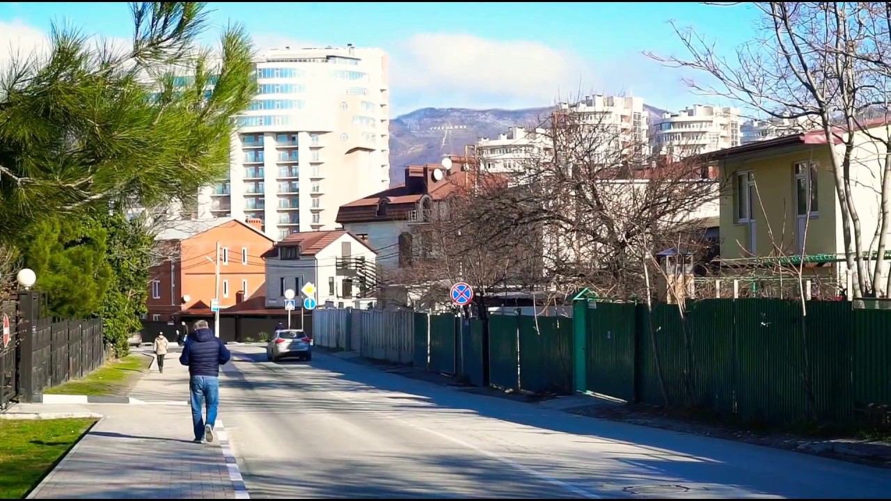 Геленджик в Январе. Погода, солнце, море, белки. #безкомментариев 10.01.2020