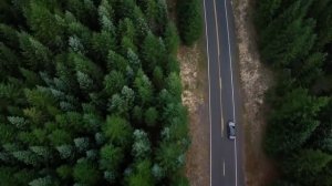 Ненавижу мужа. Истории из жизни. Теща зять