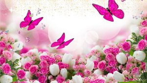 Футаж фоновый, нежные цветы, бабочки, для текста, видеомонтажа/delicate flowers, butterflies,