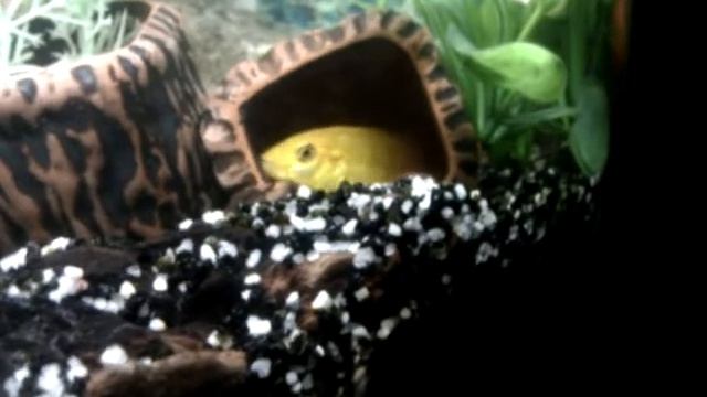 Генеральная уборка смотреть онлайн