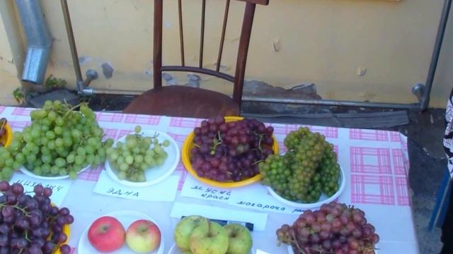 Выставка. Дары Амурской осени 2017. Хабаровск. Виноград, Плодовые, Успехи наших садоводов. смотреть онлайн