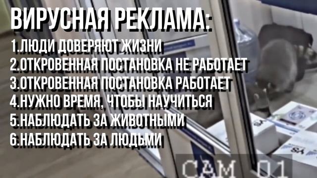 КРИПОВЫЙ ГУРУ РЕКЛАМЫ | СТЫД смотреть онлайн