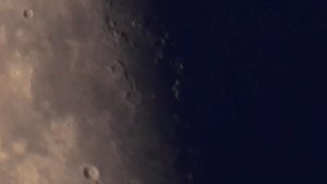 Луна и мурмурация ворон на её фоне, 7 марта 2021
