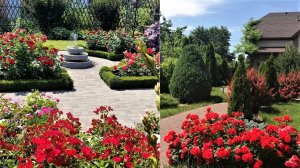 50+Примеров декора на садовом участке / Garden Decorating Ideas / A - Video