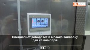 Сыроварня УГМК