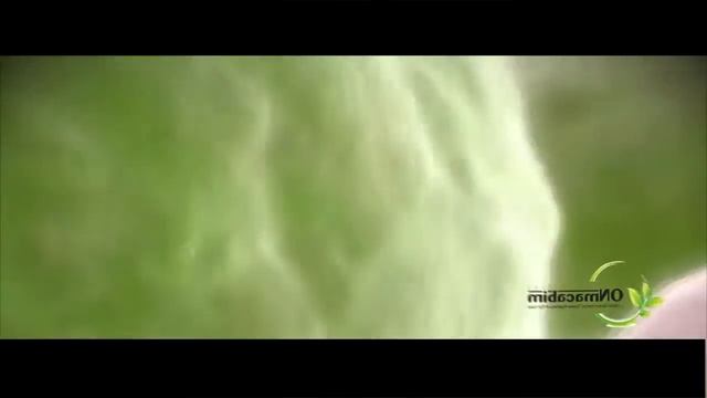 Видео Стволовые клетки смотреть онлайн