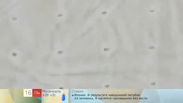 Цемент  Разоблачаем подделку