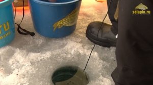 Зимняя рыбалка на озере Плещеево в глухозимье. Окунь. [salapinru]