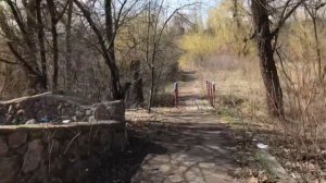 Источник «Голова». Тельмановский район, Донецкая область