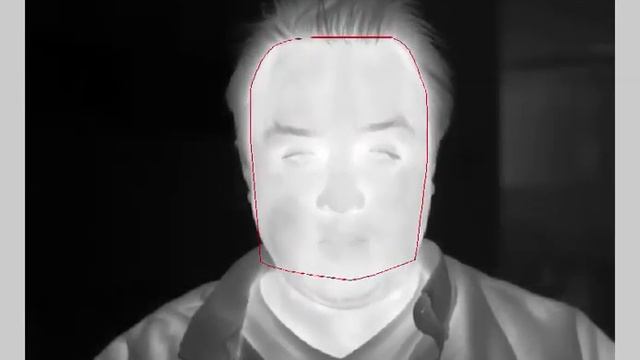 Example Face Detection Koscik1 - Face ROI смотреть онлайн