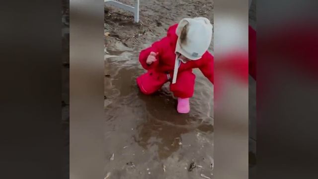 свобода