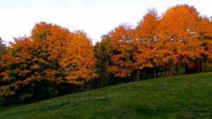 Джио Россо  Прошлое/ Красивое стихотворение