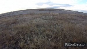 Охота по чернотропу. Где искать зайца осенью после мороза. Охота с гончей. Сезон охоты 2022