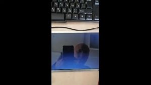 Ремонт нетбука DNS