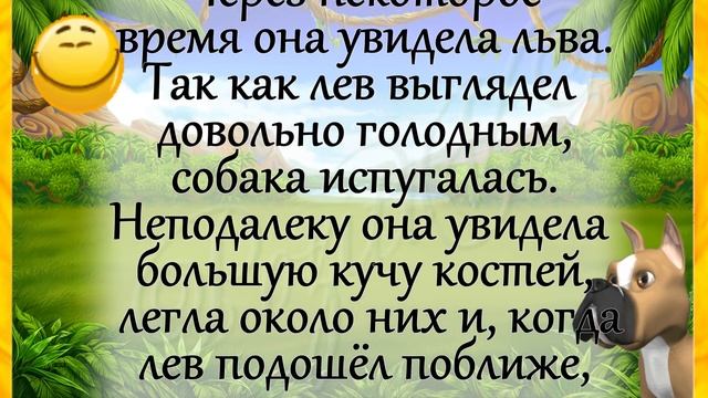 Анекдоты! "Собрал Лев всех зверей.." ЮМОР для ВСЕХ! Позитивчик!))