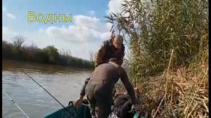 Активный клев Сома на лягушку. Астрахань 2018.