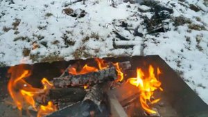 Шашлык на дровах.