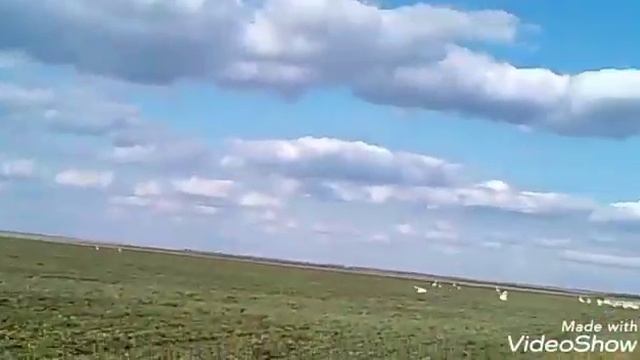Заготовка сена на зиму.