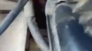 Посторонний стук двигателя Форд Фьюжн