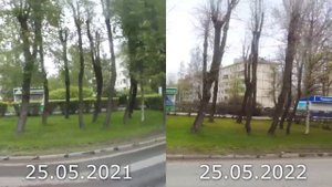 Северодвинск 25 мая 2021 и 2022 года. Сравнение.  Какая погода была в этот день в Северодвинске