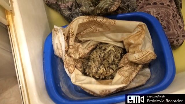 Самый простой способ стирать перьевую подушку.И перья не летают! смотреть онлайн