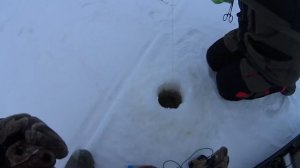 Зимняя ловля Судака на раттлины и балансиры.