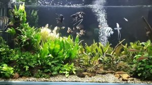 Переход на Чихирос