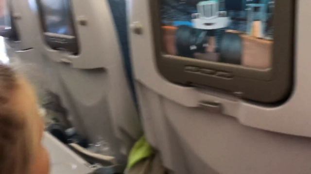 Наш переезд на ПМЖ в Америку, Спб-Хельсинки-Чикаго-Индианаполис, первый день в США