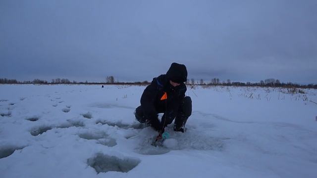 РАССТАВИЛ ВСЕ ЖЕРЛИЦЫ в БОЛОТЕ! Я был в ШОКЕ! Сколько же здесь щук?! Зимняя рыбалка 2022. смотреть онлайн
