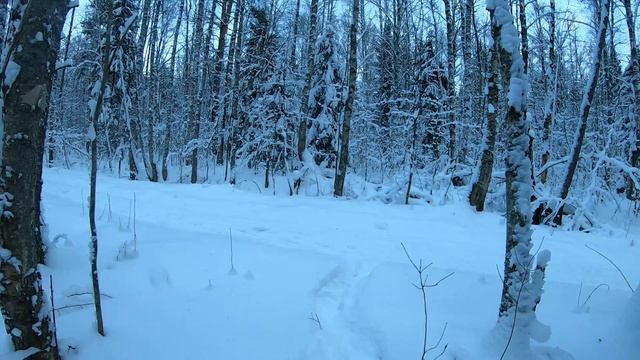 Вездеход Дикий Новый тип переломки Зимний Лес смотреть онлайн