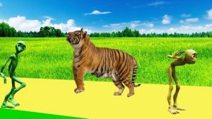 африканские животные для детей - звуки животных для детей аудио | BonBi TV