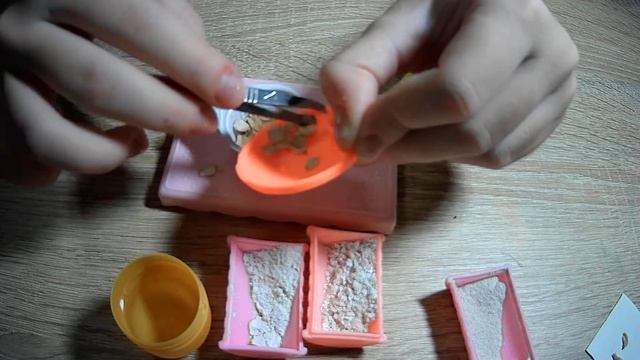 Вкусняшки для улиток Ахатин Фулик смотреть онлайн