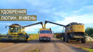 Ведущий специалист компании «ФосАгро». Внесение удобрений под люпин и ячмень