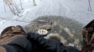 ПЕРВЫЙ ЛЁД 2022-23 ЕЛЕ ВЫТАЩИЛ! НАШЁЛ ОКУНЯ В КАМЫШАХ!!! Зимняя рыбалка 2022-2023