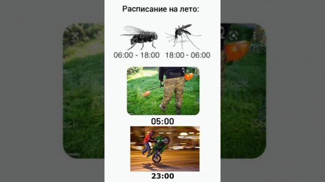 Расписание на лето
