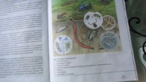 Биология 5 кл § 4 Среды обитания организмов (Автор В.В.Пасечник)