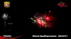 РС6421 Юный ДедМорозовец