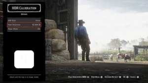 Red Dead Redemption 2 - Adjusting HDR Settings